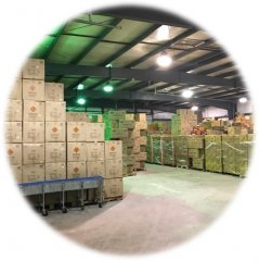 Wholesale