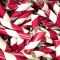 10pc 1.25" ID x 6" Maroon and White Kraft Tube